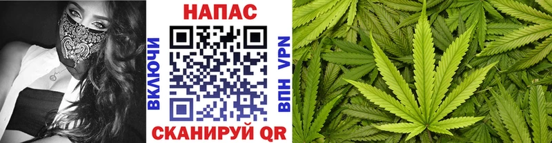 Магазины продажи наркотиков Шимановск mega как войти  Кокаин  МЕФ  Гашиш 