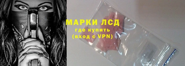 гидра Няндома