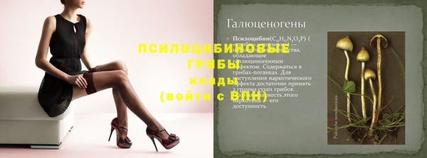 гидропоника Алексеевка