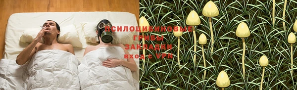 гидропоника Алексеевка