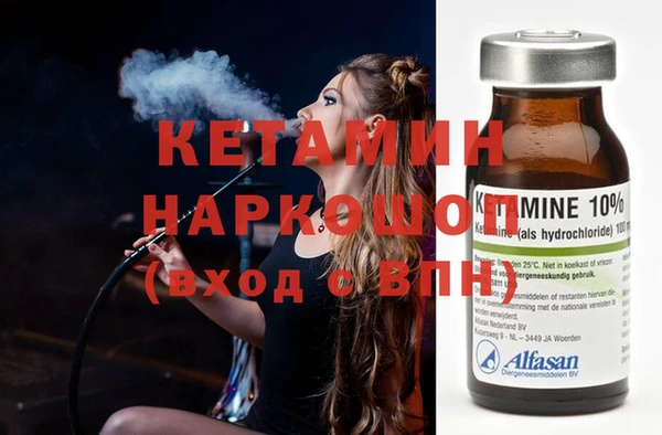 гидра Няндома