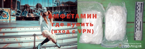 гидра Няндома